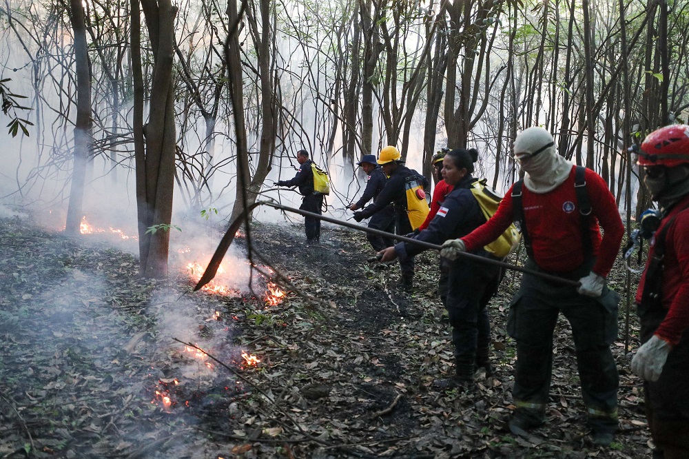 incendio mata